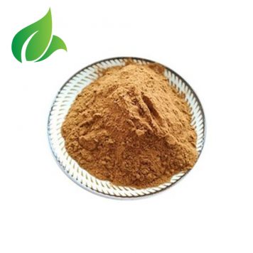 Moringa Extract